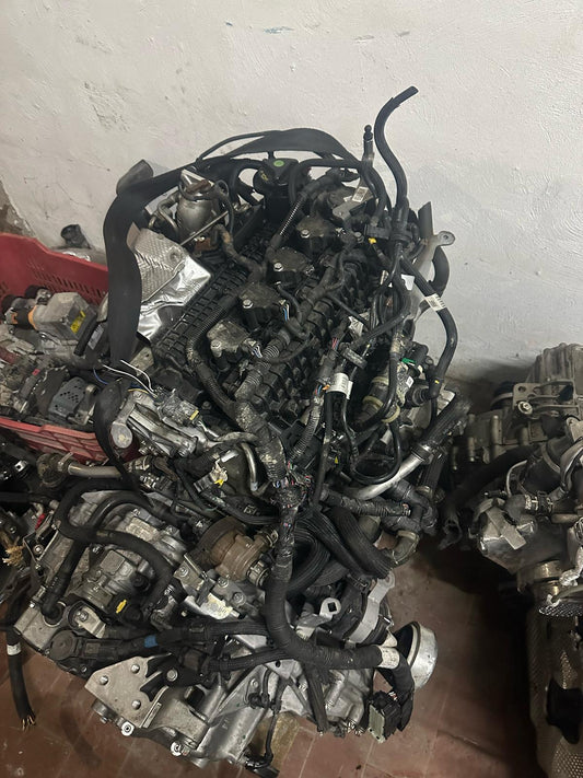 Motore Tonale 46347813